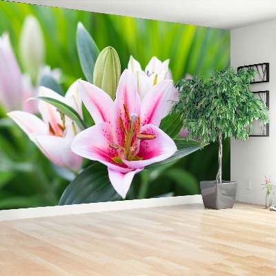 Papier peint decoratif Lily vert