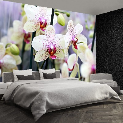 Papier peint decoratif Fleurs d'orchidée