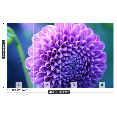 Papier peint decoratif Dahlia violet