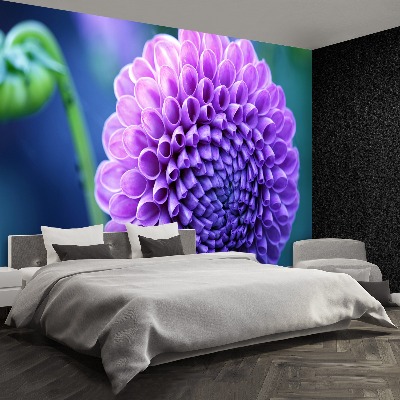 Papier peint decoratif Dahlia violet