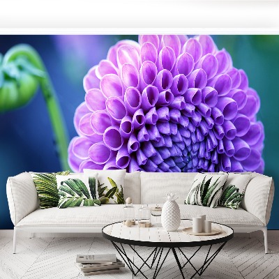 Papier peint decoratif Dahlia violet