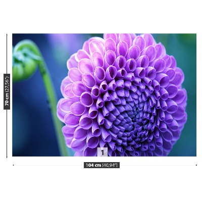 Papier peint decoratif Dahlia violet