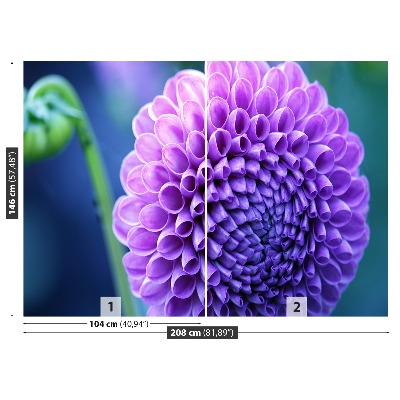 Papier peint decoratif Dahlia violet