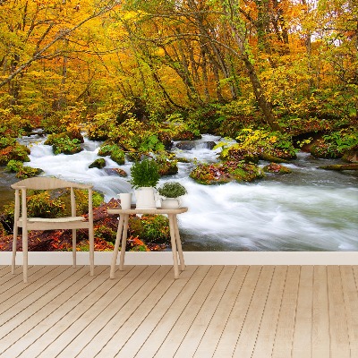 Papier peint photo La rivière au japon