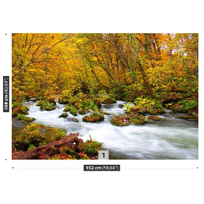 Papier peint photo La rivière au japon