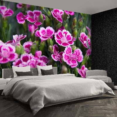 Papier peint decoratif Fleurs roses