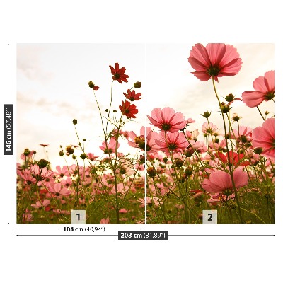 Papier peint photo Fleurs cosmos