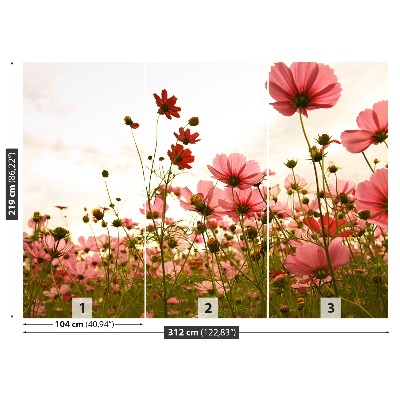 Papier peint photo Fleurs cosmos