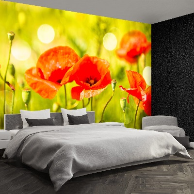 Papier peint decoratif Coquelicots prairie