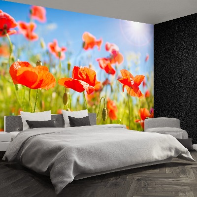 Papier peint decoratif Les coquelicots rouges