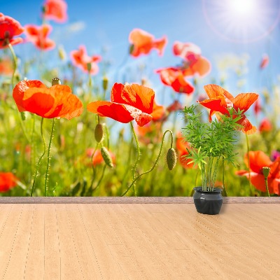 Papier peint decoratif Les coquelicots rouges