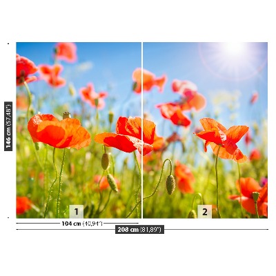 Papier peint decoratif Les coquelicots rouges