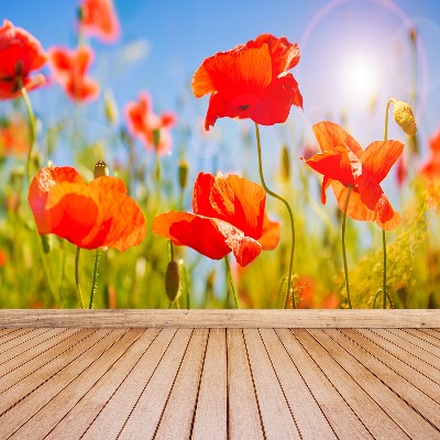 Papier peint decoratif Les coquelicots rouges