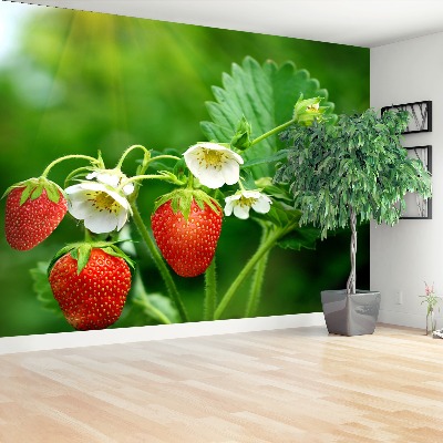 Papier peint decoratif Fraise verte