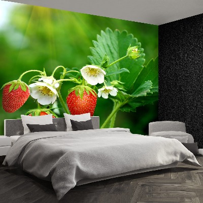 Papier peint decoratif Fraise verte