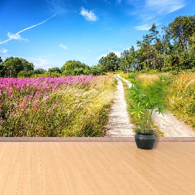 Papier peint photo Prairie en fleurs