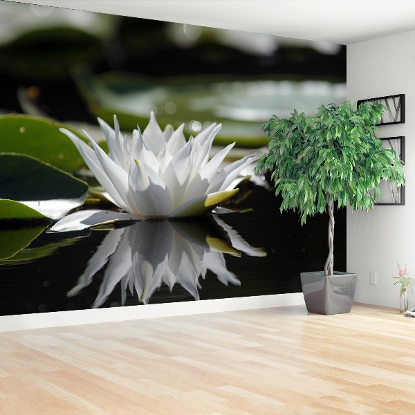 Papier peint decoratif Lotus blanc