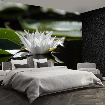 Papier peint decoratif Lotus blanc