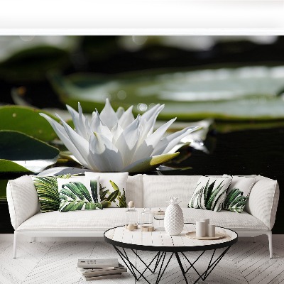 Papier peint decoratif Lotus blanc