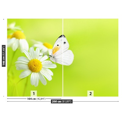 Papier peint decoratif Papillon et camomille