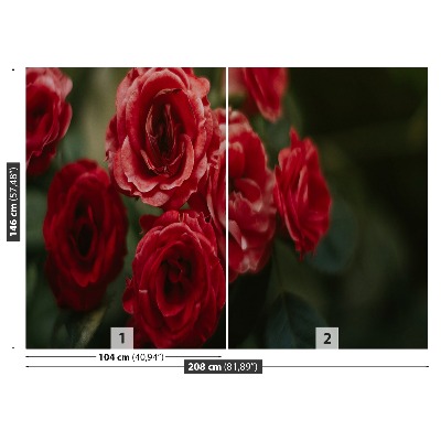 Papier peint decoratif Vintage roses