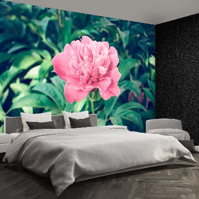 Papier peint decoratif Pivoines rose