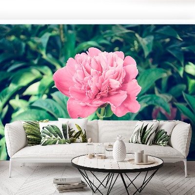 Papier peint decoratif Pivoines rose