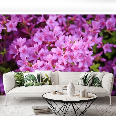 Papier peint decoratif Rhododendron rose