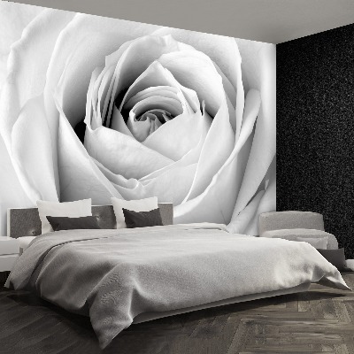 Papier peint decoratif Rose blanche