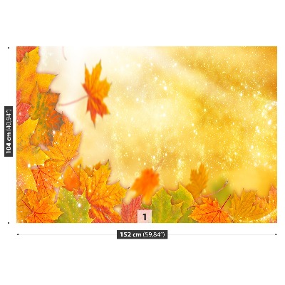Papier peint decoratif Feuilles d'automne