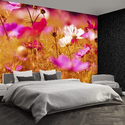 Papier peint decoratif Fleur cosmos