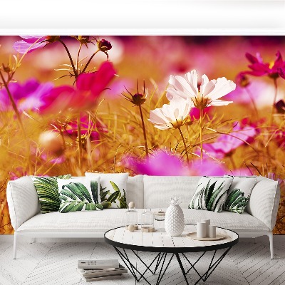 Papier peint decoratif Fleur cosmos