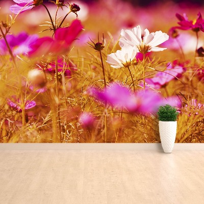 Papier peint decoratif Fleur cosmos