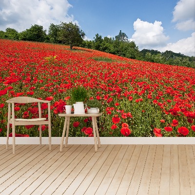 Papier peint decoratif Champ de coquelicots