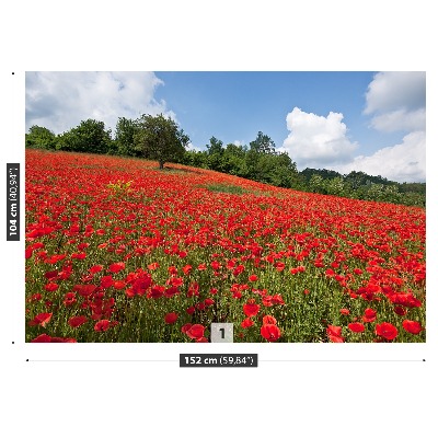 Papier peint decoratif Champ de coquelicots