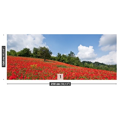 Papier peint decoratif Champ de coquelicots