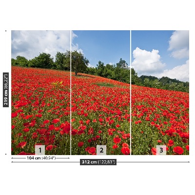 Papier peint decoratif Champ de coquelicots