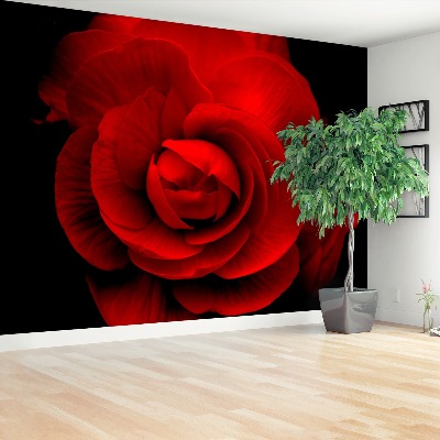 Papier peint decoratif Rose rouge