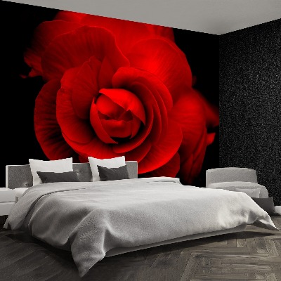 Papier peint decoratif Rose rouge