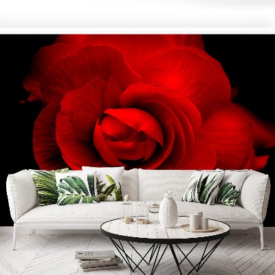 Papier peint decoratif Rose rouge