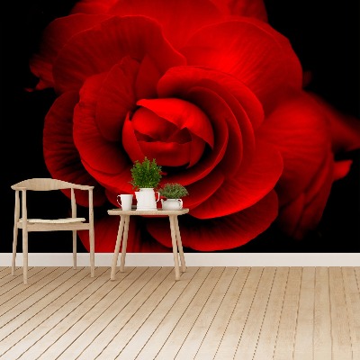 Papier peint decoratif Rose rouge