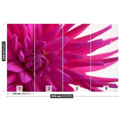 Papier peint decoratif Dahlia rose