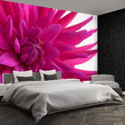 Papier peint decoratif Dahlia rose