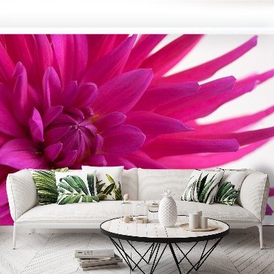 Papier peint decoratif Dahlia rose