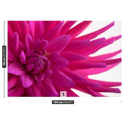 Papier peint decoratif Dahlia rose