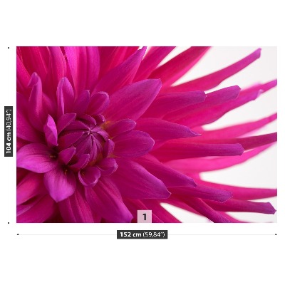 Papier peint decoratif Dahlia rose