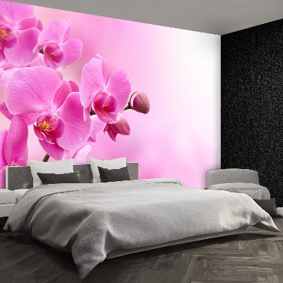 Papier peint decoratif Orchidée rose