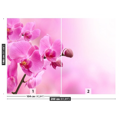 Papier peint decoratif Orchidée rose