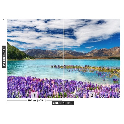 Papier peint photo Lac nouvelle-zélande