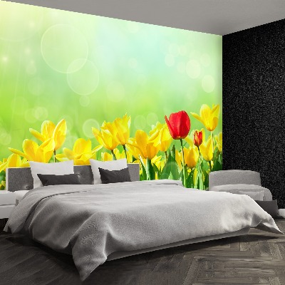 Papier peint decoratif Tulipes jaunes